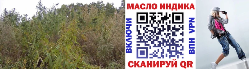 Дистиллят ТГК гашишное масло  omg вход  дарк нет какой сайт  где найти   Торопец 