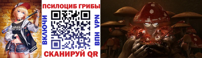 Псилоцибиновые грибы мицелий  закладка  Торопец 